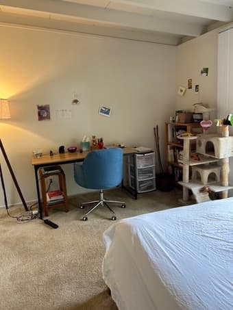 Furnished MBR ensuite in Mountain View 2