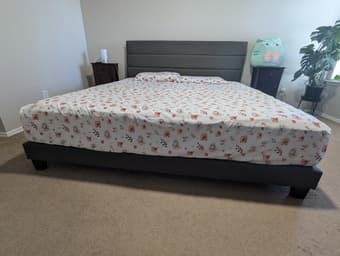 King Size Firm Mattress (From Mattress Firm) With Mattress Cover 1