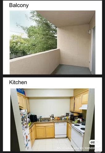 408 Grant Ave Palo Alto rent near Stanford from November 25 1