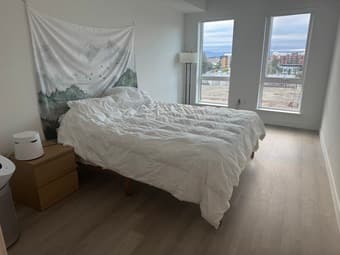 Spacious, Furnished 1B/1B Apt (available Dec 12 - Dec 31) 1