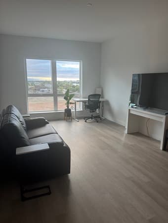 Spacious, Furnished 1B/1B Apt (available Dec 12 - Dec 31) 2