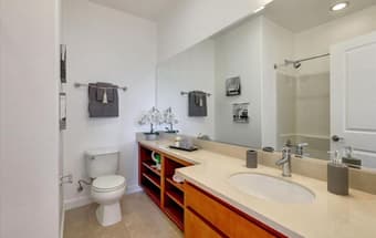 1b1b in Sunnyvale for rent 3