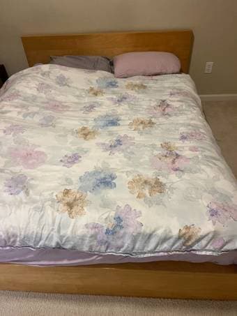 1br - [Sublet] Large 1b1b in 2b2b – (Dec 6 – early Feb) - Female 3