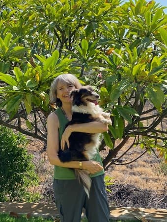 Pet sitting in exchange for housing late Dec to early Jan 1