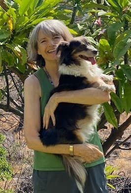 Pet sitting in exchange for housing late Dec to early Jan 1