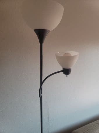 Lamp (6ft) 1