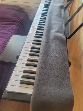 Roland Electric Piano 1
