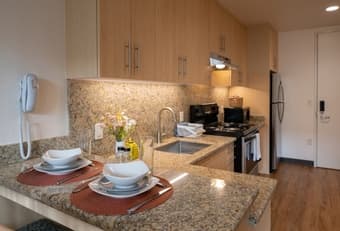 EVGR Premium Studio Sublet: Available December 15 - January 12 2025 1