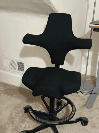 HAG Capisco Ergonomic Chair 1