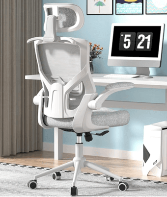 Ergonomic Office Chair 1