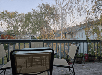 One bedroom, Sunnyvale sublet 1