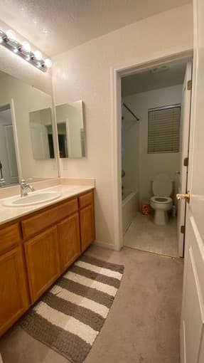 Spacious furnished 1B1B in shared home in Newark 1