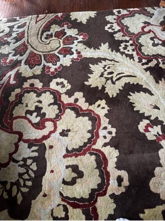Large 8X11 rug 1