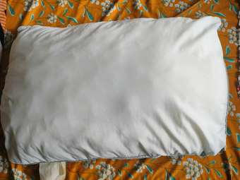 Pillow and blanket 1