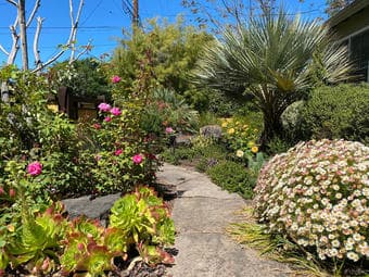 Private BR/BA for rent in a beautiful single family house (Palo Alto) 4