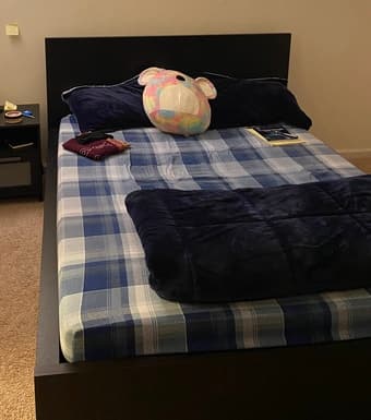 IKEA Bed Frame (Malm) 1