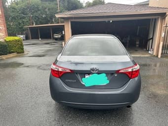 Very good LE for 11,000 3