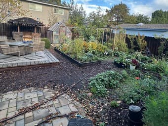 Amazing cozy house Red Wood City, 10 min walk from Caltrain station 4