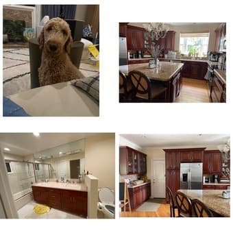 Move-In Ready Furnished Room in Renovated Mountain View Home - $2350 2