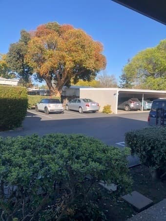 1 bedroom in 2BD/1Bath Apartment-Palo Alto-$1650 2