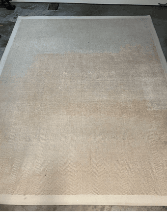 8'x10' area rug - only $20 1