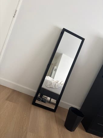 FREE mirror jewelry organizer 1