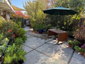 $1,500 / 1br - 100ft2 - One room in a single house (Palo Alto) 4