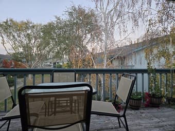 One bedroom, Sunnyvale 3