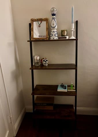 Bar Cart + Leaning Bookshelf 2