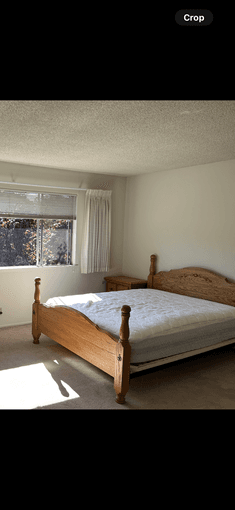 Bed frame for free 1