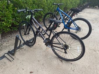 Liv Alight 3 Hybrid Bike – Commuter Bike w Basket – Women’s Small 1