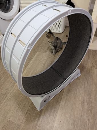 Cat Treadmill, LIKE NEW 50% off 1