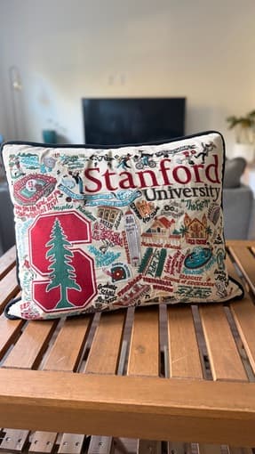 Catstudio Stanford embroidered pillow 1
