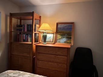 Private furnished bedroom, private bathroom in Mountain View 2