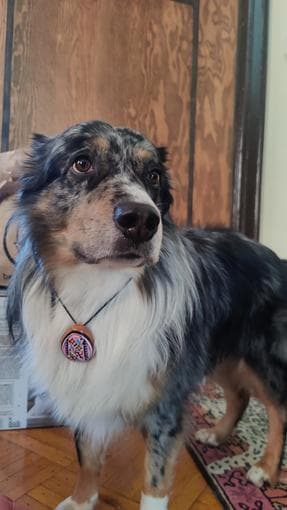 Visiting the bay till May 1