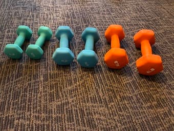 Dumbbell Set (8lb, 5lb, 3lb) 1