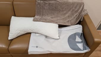 Sleep Number Memory Foam Pillow (original 100+!) 1