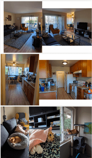 Furnished Bedroom in 2B/1B Available for May Sublet Near Stanford 2