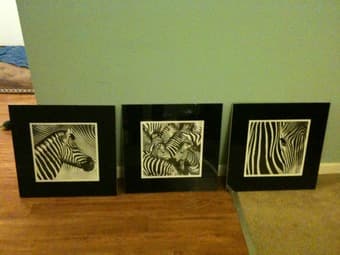 3 Zebra Prints in Nice Glass Frames - $45 1