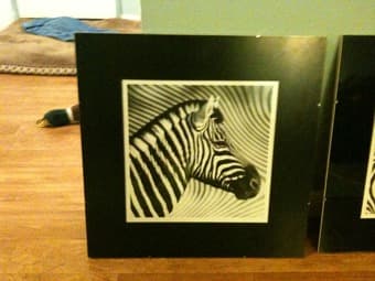 3 Zebra Prints in Nice Glass Frames - $45 2