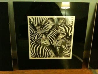 3 Zebra Prints in Nice Glass Frames - $45 3