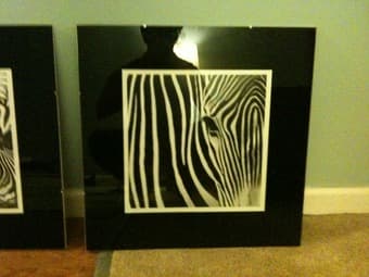3 Zebra Prints in Nice Glass Frames - $45 4