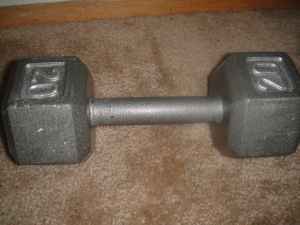 Single Dumbbell - 20 lb - $10 (palo alto) 1