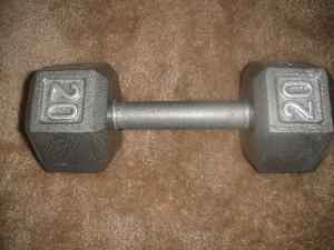 Single Dumbbell - 20 lb - $10 (palo alto) 2
