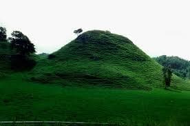 looking for a rolling buddy 1